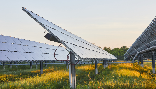 solar-panels-in-field